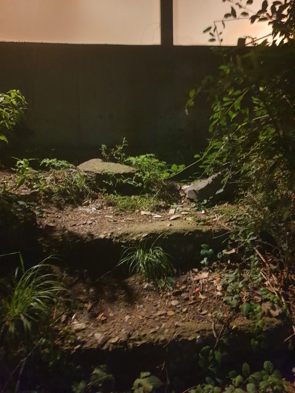 20200807_212404.jpg