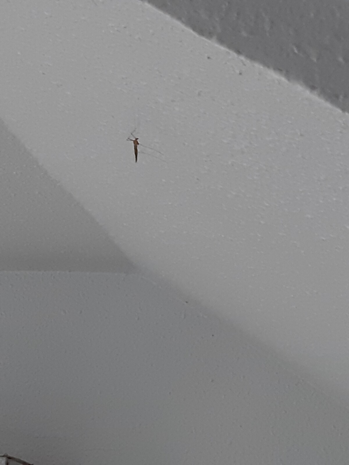 20200807_134535.jpg