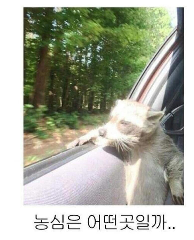 B46523CE-25C5-4AD0-B39B-F1C6D45425F1.jpeg