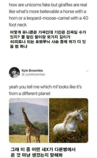 어..그럴듯 한데?