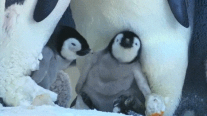 20200818_192952.gif