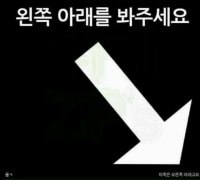 왼쪽 아래를 봐주세요.