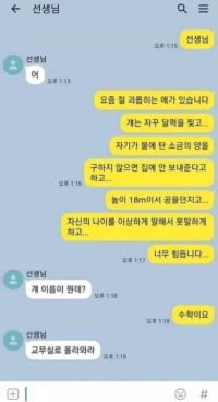 요즘 절 괴롭히는 애가 있습니다....