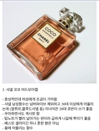 옵붕이들의 현생을 위한 향수 추천 TOP 3