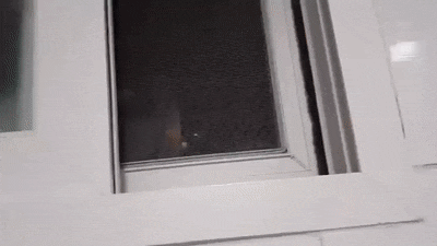 1578821567835.gif