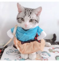 눈정화 하세요