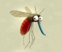 mosquitoes need hats too