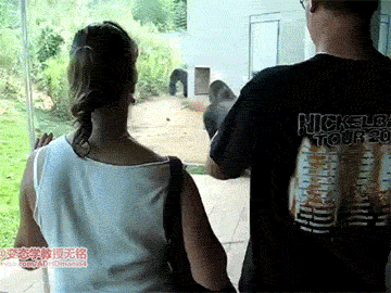 aoegame-20200830-202019-000-resize.gif
