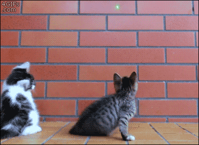 1a376574026307cbbb4c9d920e53b566.gif