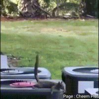 테트리스 만렙.gif