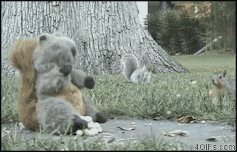 1555893534.gif