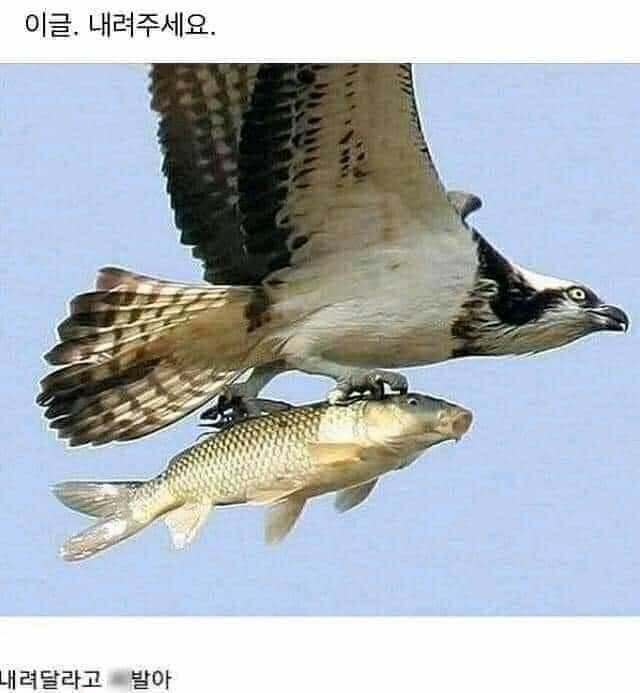 FB_IMG_1599838577598.jpg