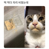 떡 먹다 자리를 비웠는데