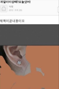 뼈 때리는 귀걸이녀.jpg