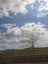 와 오늘 구름많다잉