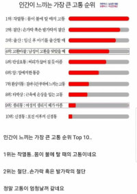 사람이 느낀다는 고통 순위(여자는 약하고 어머니는 강한이유)