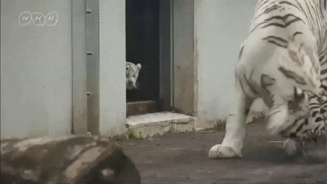 1572581784685.gif