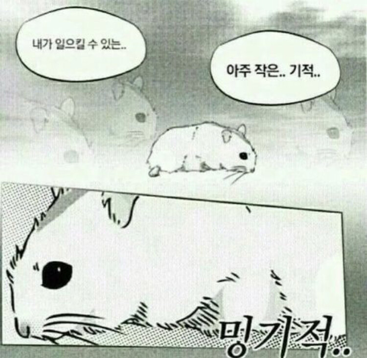 874C5FDB-BA9C-4DD0-A350-AF59F0189CBE.jpeg
