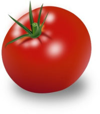 솔직히 햄버거에 토마토 없으면 노맛임