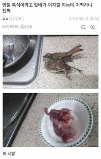 (혐주의)명절특식 ㅇㅈㄹ