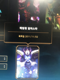 이거 뭐하는 스킨임?