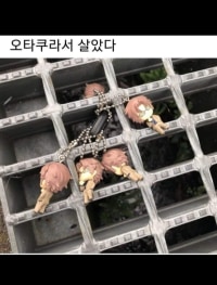 오타쿠가 좋은 이유...