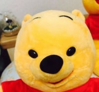 옵붕이 국가자격시험보고옴