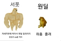 바텀 특.jpg