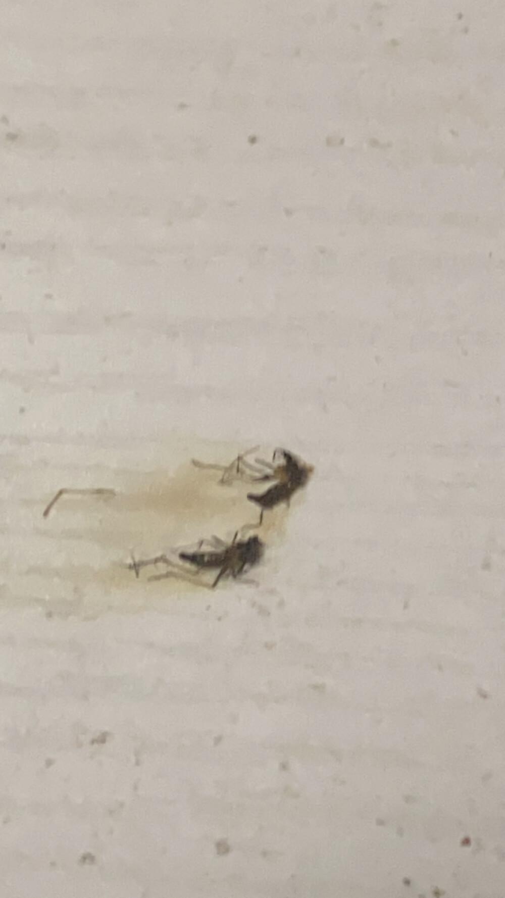 따듯하게 해줫다