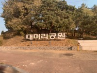 i found an amazing park near my house