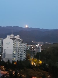 the moon's so chubby lol