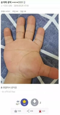 손가락으로 공익ㅆㄱㄴ