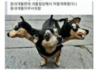 게로배로스