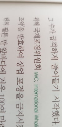 국제ㅍㄱ위원회