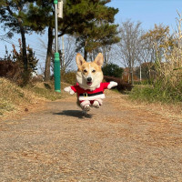 다가오는 크리스마스