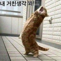 아까11시에 일어난 사람인데 그후