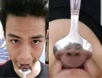 How to see my face with a spoon