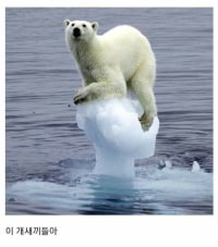 지구가 아직 따뜻하다는 증거.jpg