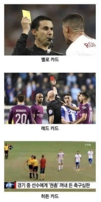 심판들의 카드들