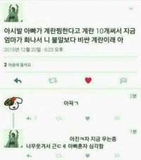 많이 비싼 계란
