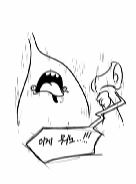 15.JPG
