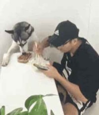 그거 좀먹었다고 개너무하네 진짜