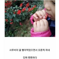 솔직히 예전사람들 꿀 많이 빨았지