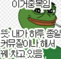 보고또보고 반박하는새끼들 특