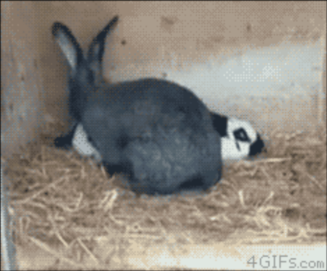 SmartSelect＿20201128－123032＿Chrome.gif