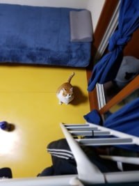 고3 옵붕이 수능 끝냈다.