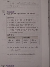 도와조 옵붕이들