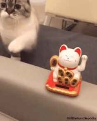 본인등판