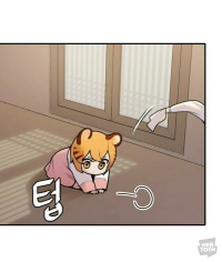 호랑이 들어와요