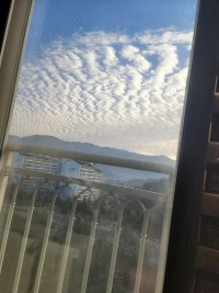 지진운인뎁슈...?